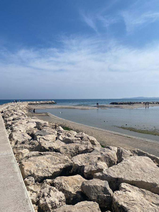 50M Plage / 200M Hippodrome 2 Pieces Jardin Garage Кань-сюр-Мер Экстерьер фото